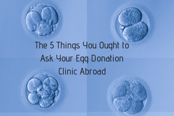 e 5 Things You Ought to Ask Your Egg Donation Clinic Abroad