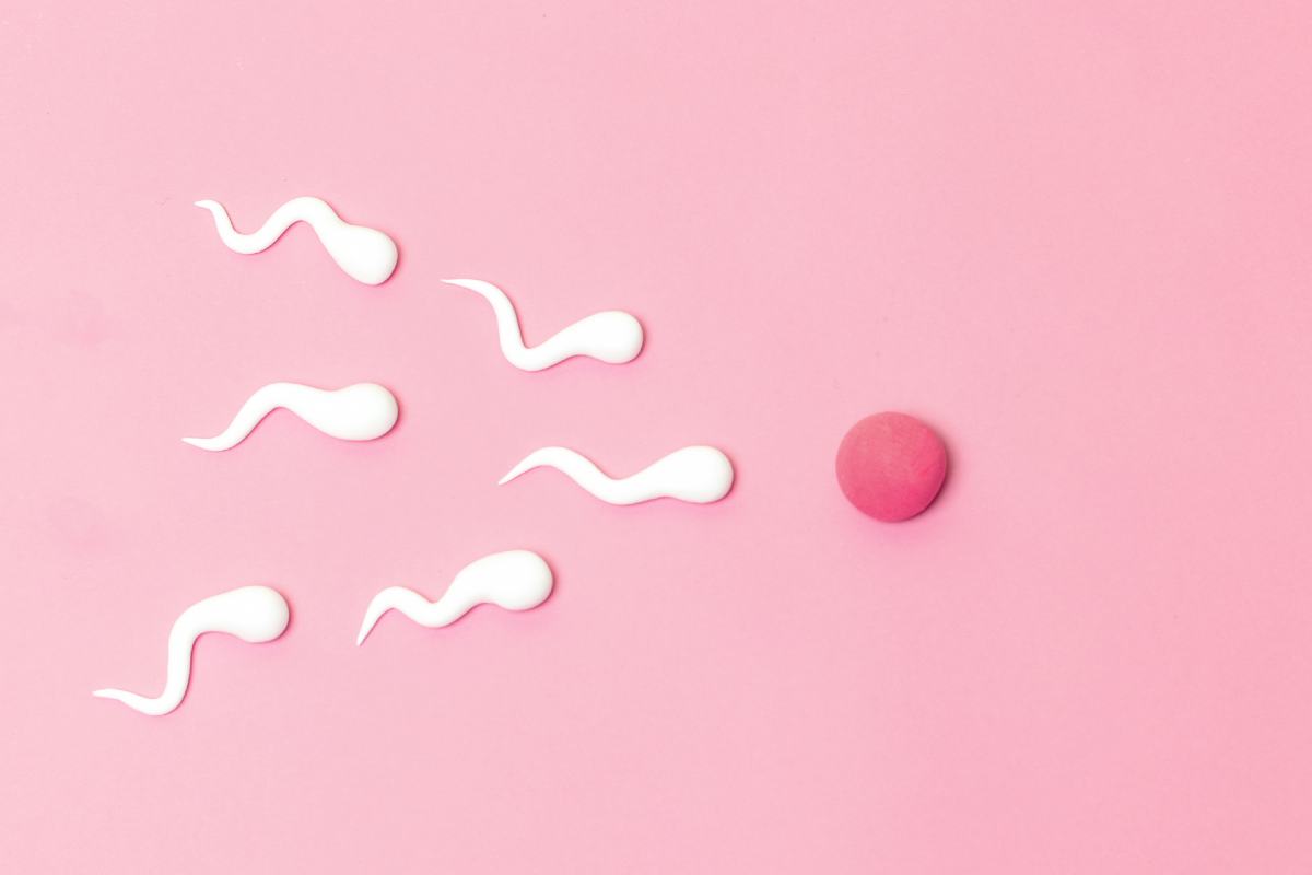 IVF donor sperm guide